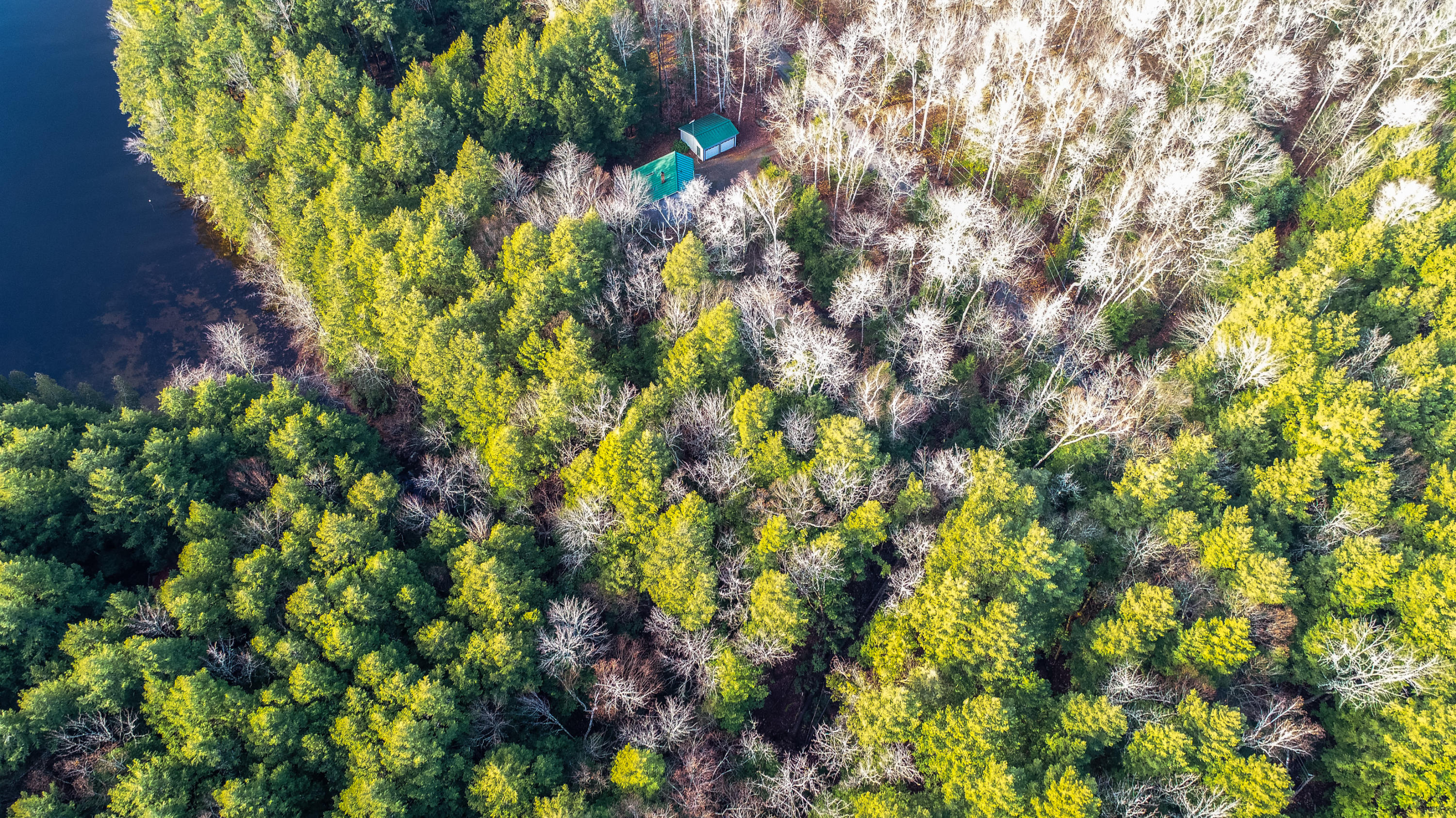 266 Timber Point Road Belgrade, ME 04917 - Photo 6 of 22 DJI_0223