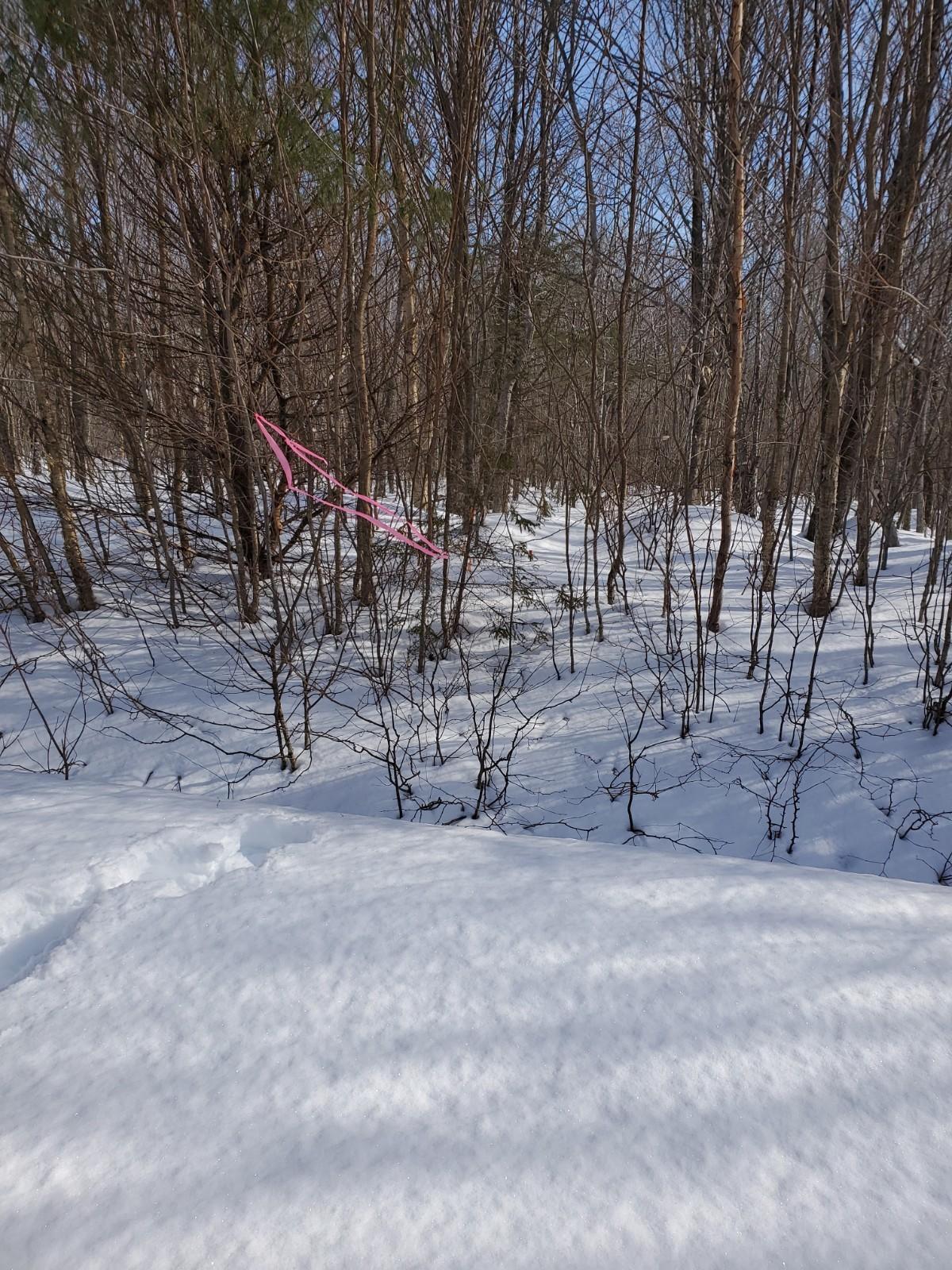 Lot B Fire Road Linneus, ME 04730 - Photo 2 of 11 20210310_090405