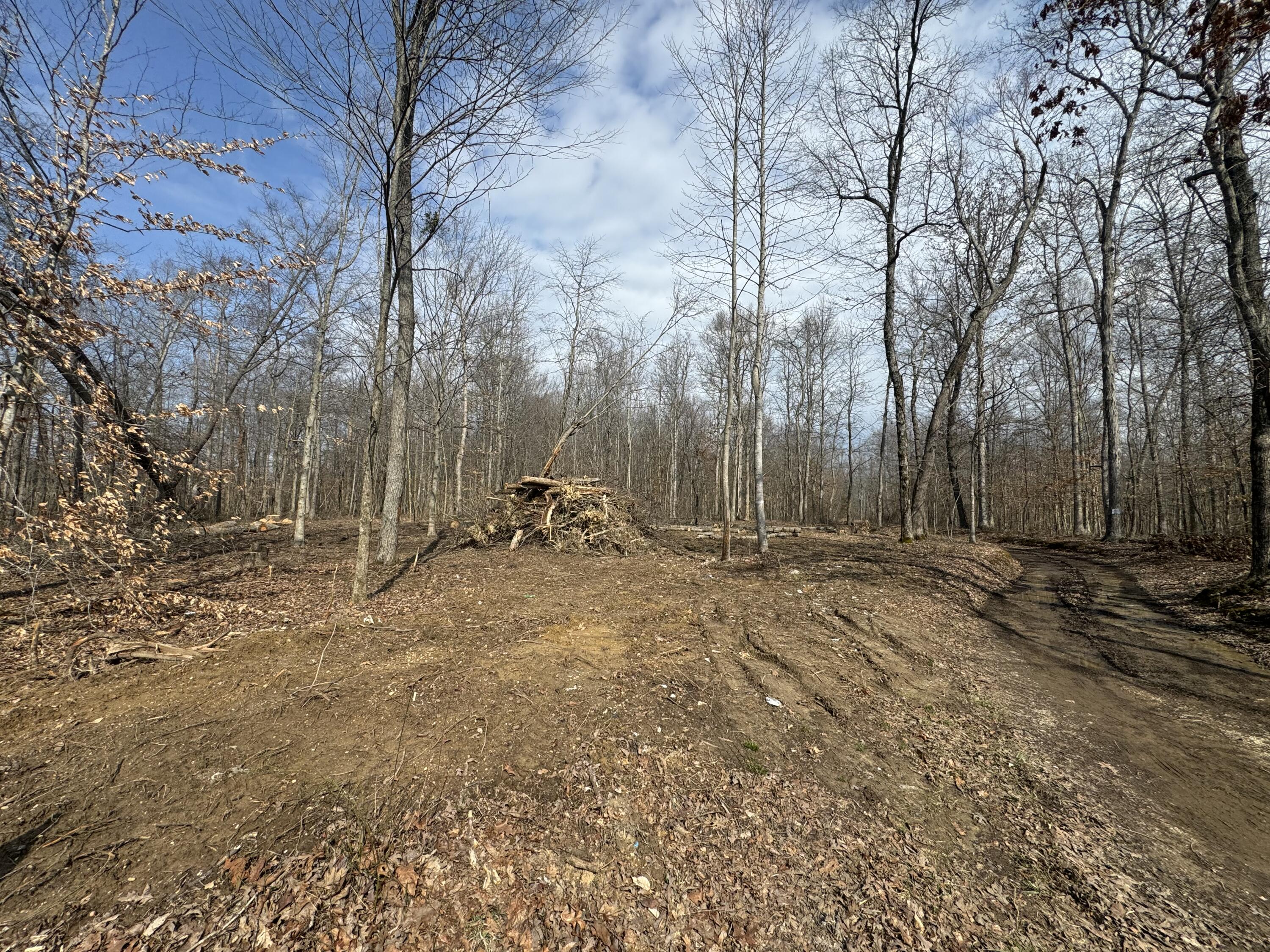 0 Dug Hill Road, Unit TRACT 13 Brodhead, KY 40409 - Photo 1 of 12 IMG_3241