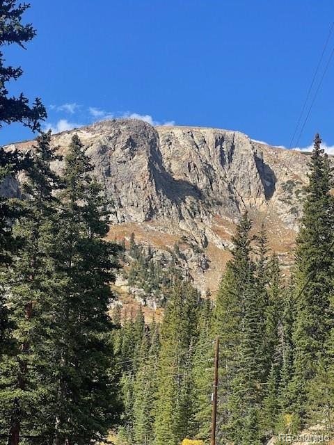 937 Mine Road Idaho Springs, CO 80452 - Photo 44 of 47 Gallery Image 44