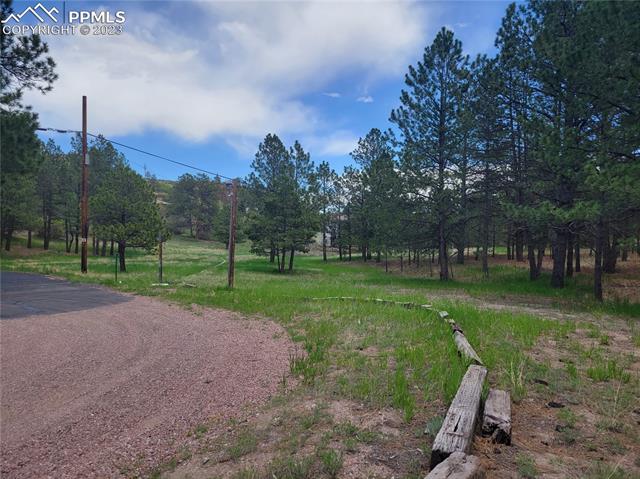 245 Hidden Valley Road Colorado Springs, CO 80919 - Photo 9 of 9