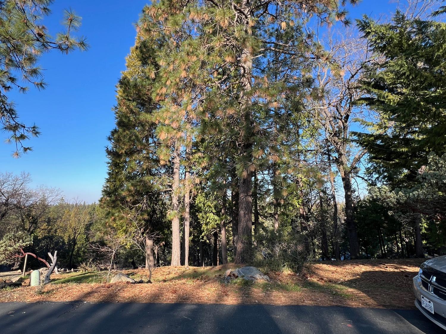 a view of outdoor space with deck and tree