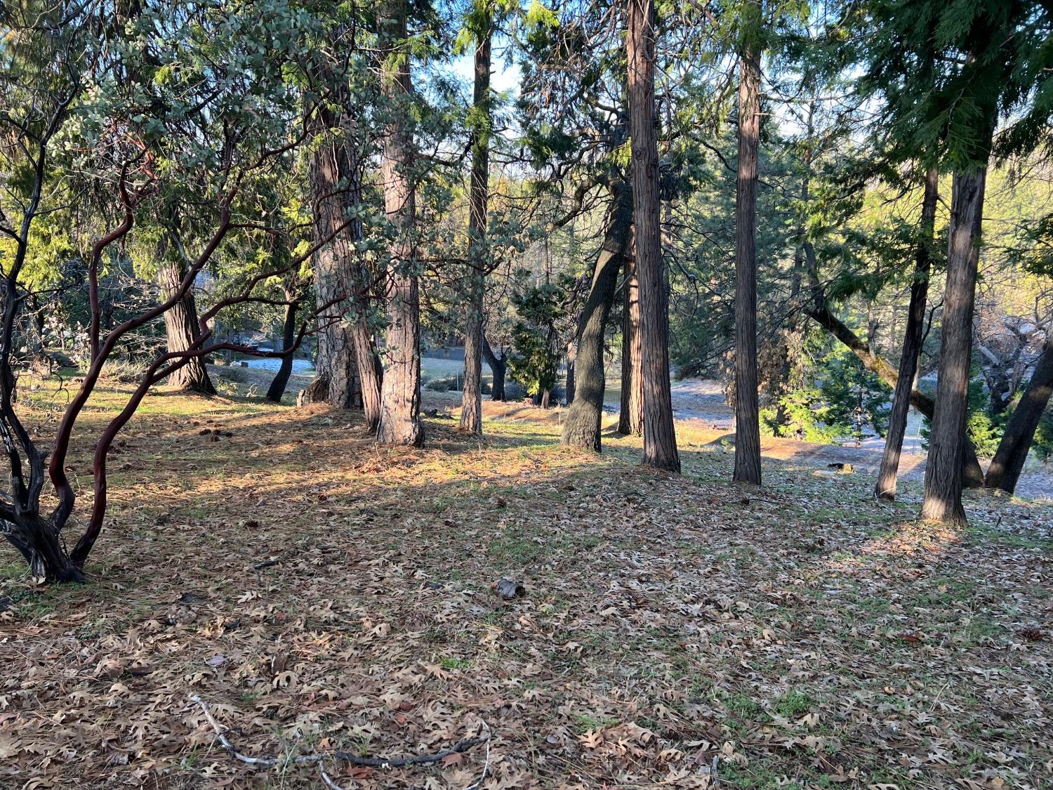a view of outdoor space with trees