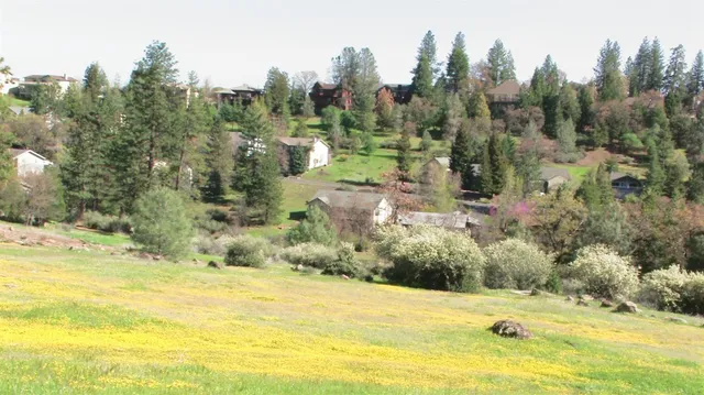 a view of a yard with an trees