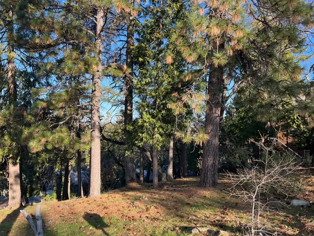 a view of a backyard of a house