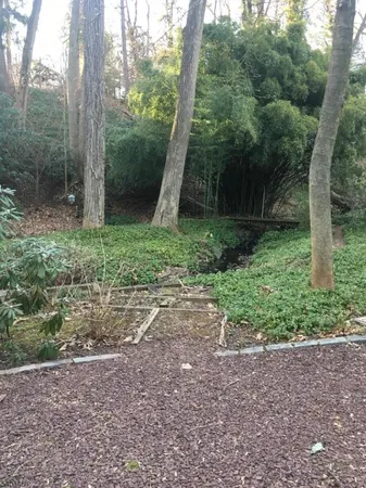 a view of a large yard with lots of green space