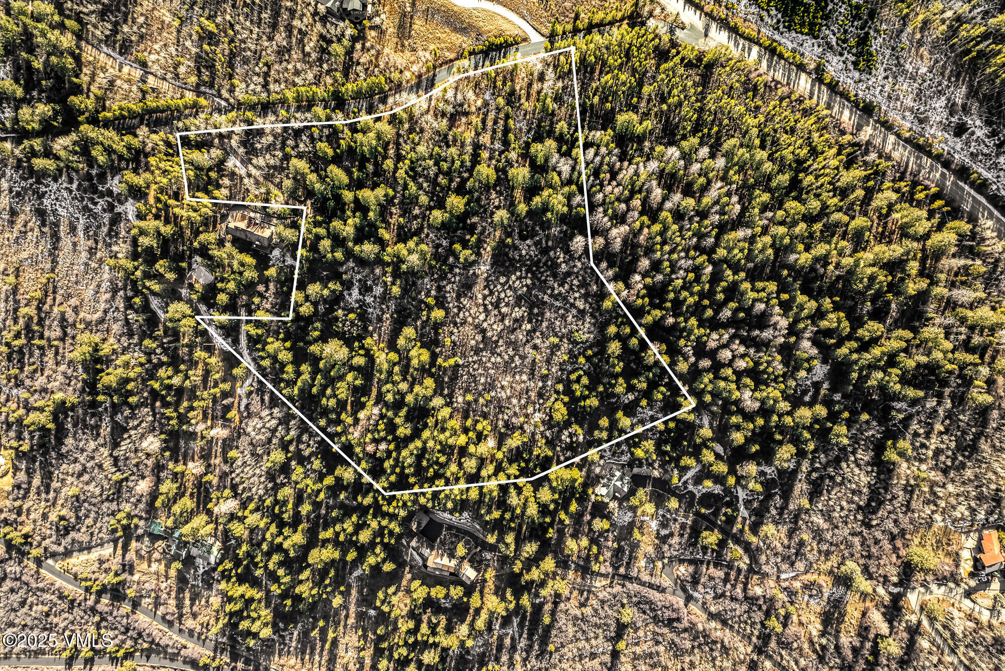 116 Travis Road Wolcott, CO 81655 - Photo 11 of 26 a picture of a tree