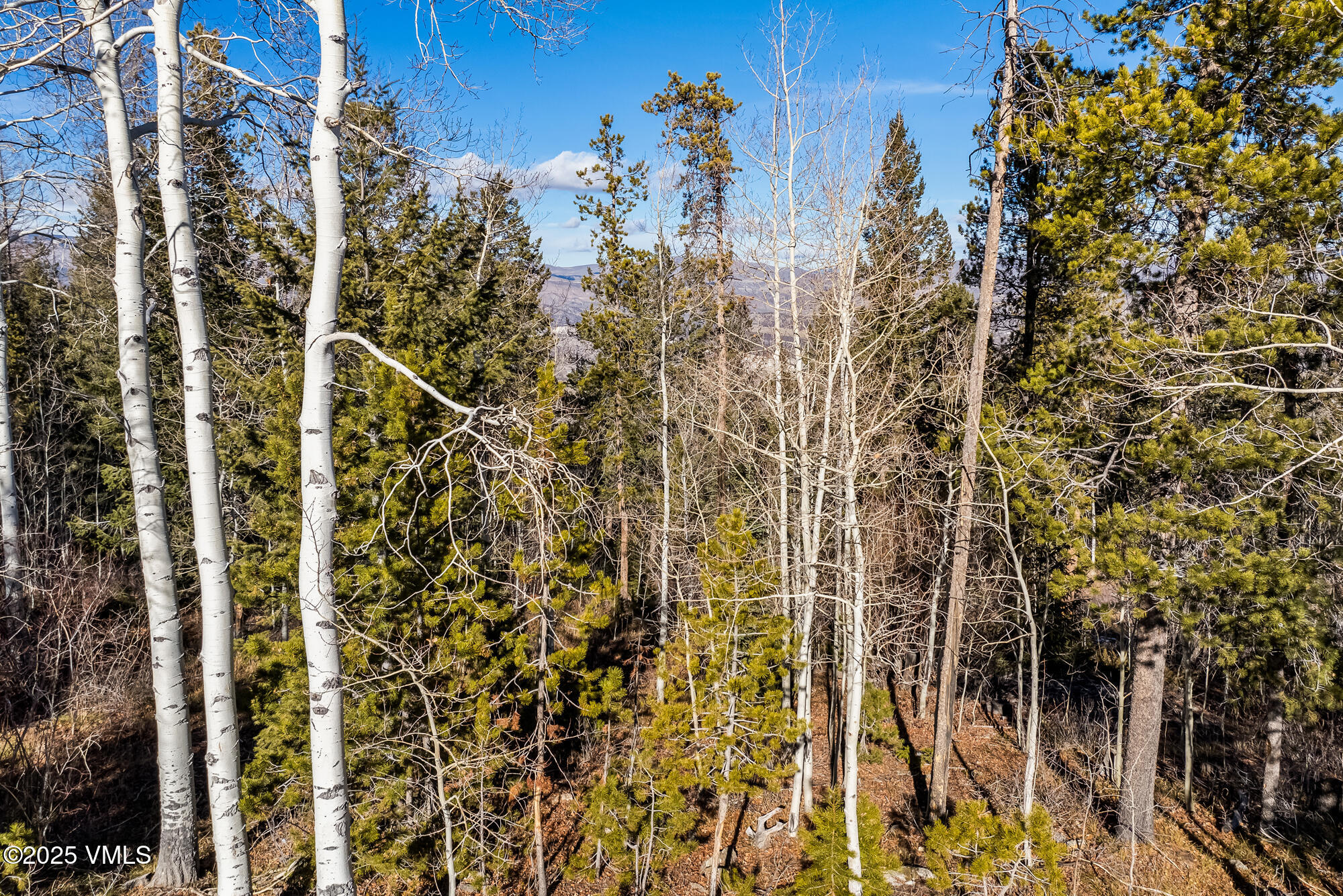 116 Travis Road Wolcott, CO 81655 - Photo 23 of 23 aerial 14