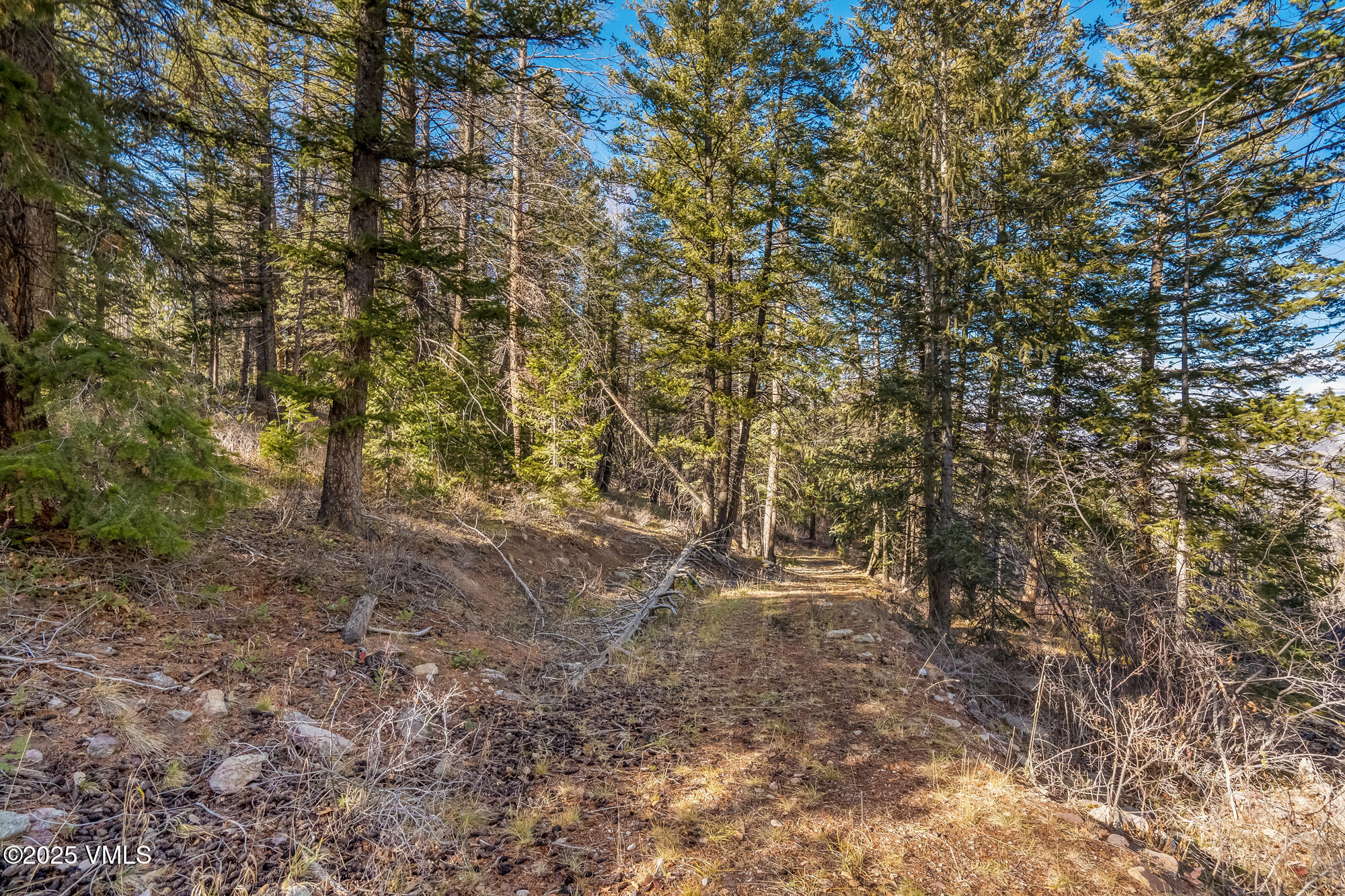 116 Travis Road Wolcott, CO 81655 - Photo 7 of 26 a view of outdoor space and yard