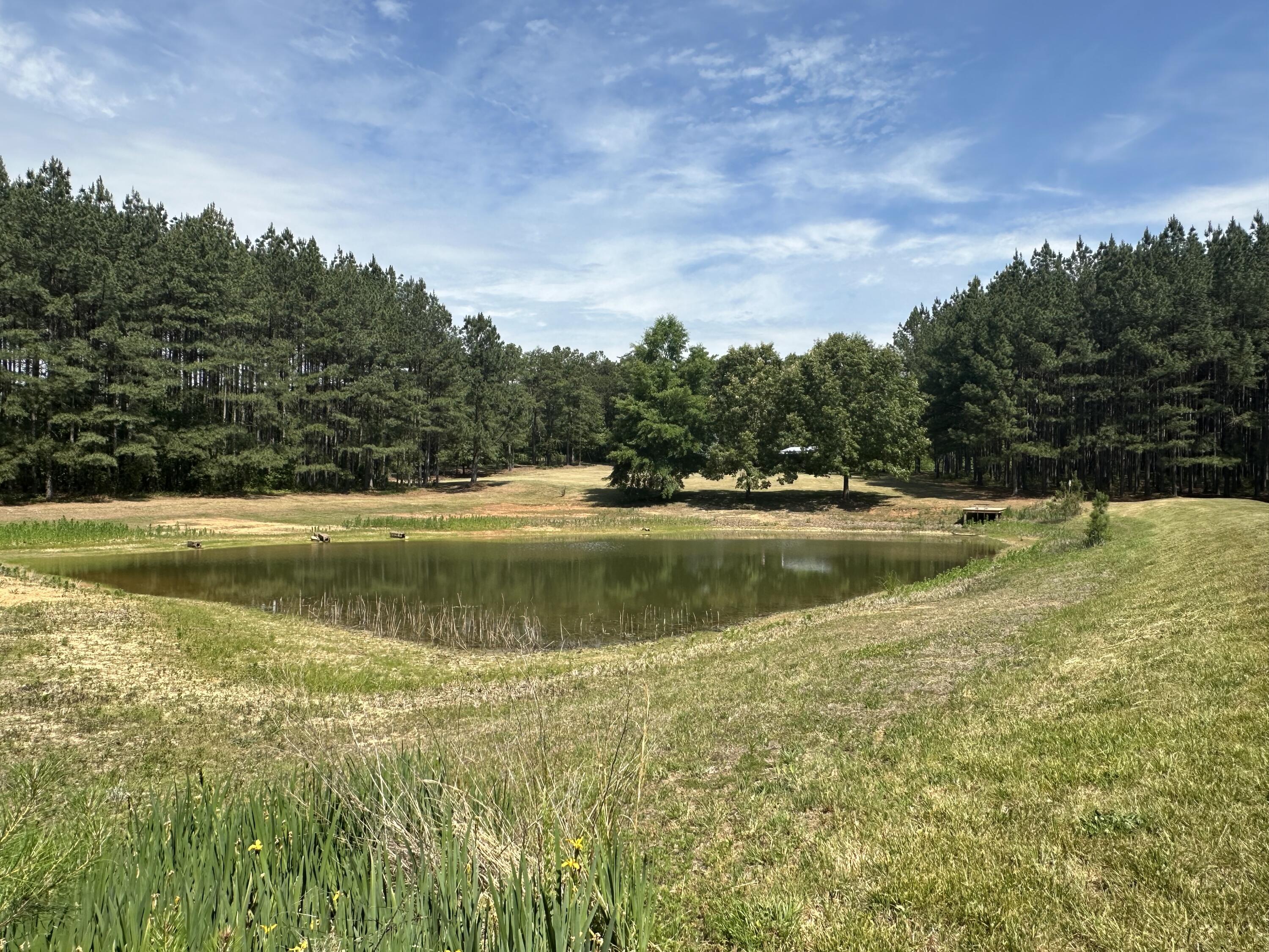 521 Piney Grove Road Gretna, VA 24557 - Photo 9 of 18 Almost .5 Acre stocked pond