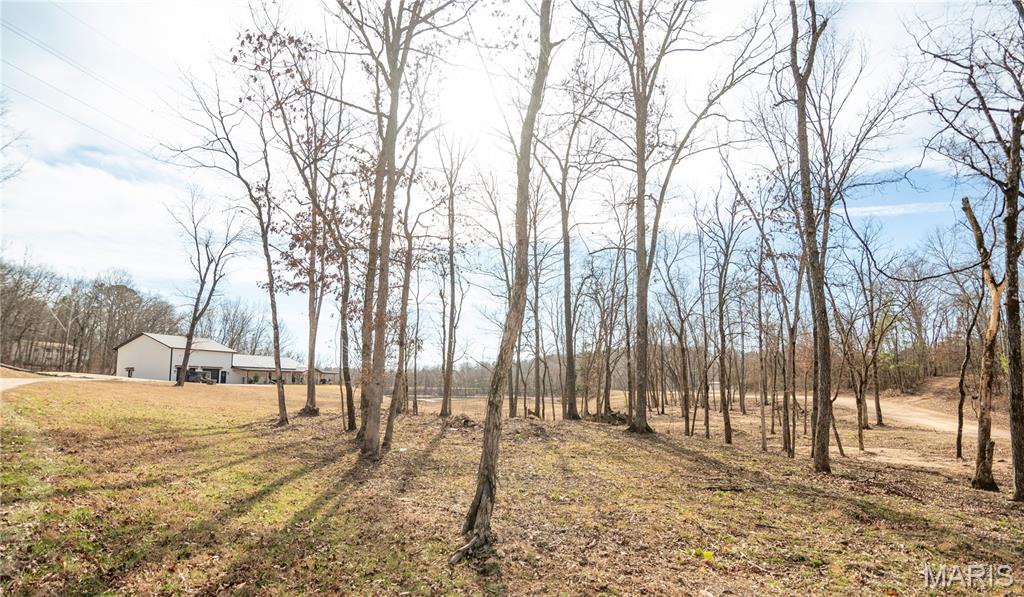 614 Water Tower Road Van Buren, MO 63965 - Photo 61 of 84