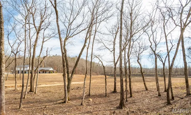 $719,000 | 614 Water Tower Road, Van Buren, MO 63965