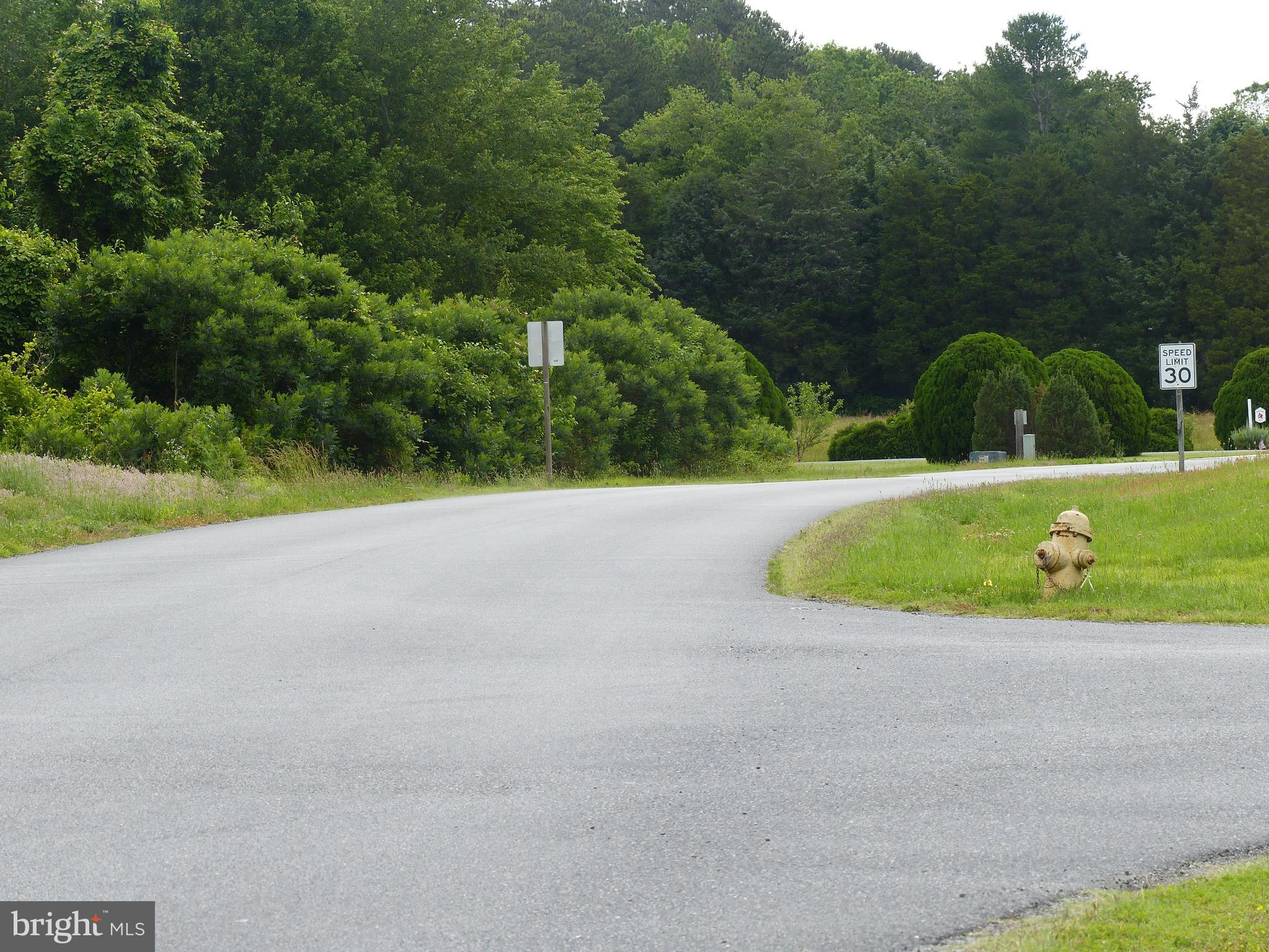 1017 Camp Road Denton, MD 21629 - Photo 11 of 16