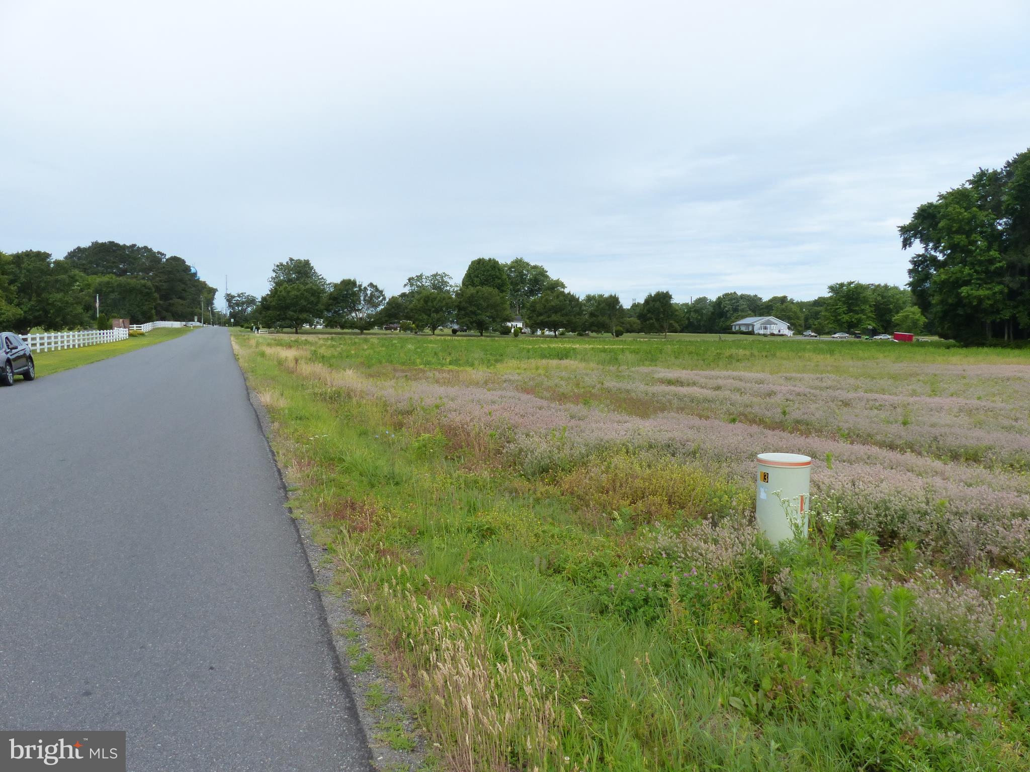 1017 Camp Road Denton, MD 21629 - Photo 15 of 16