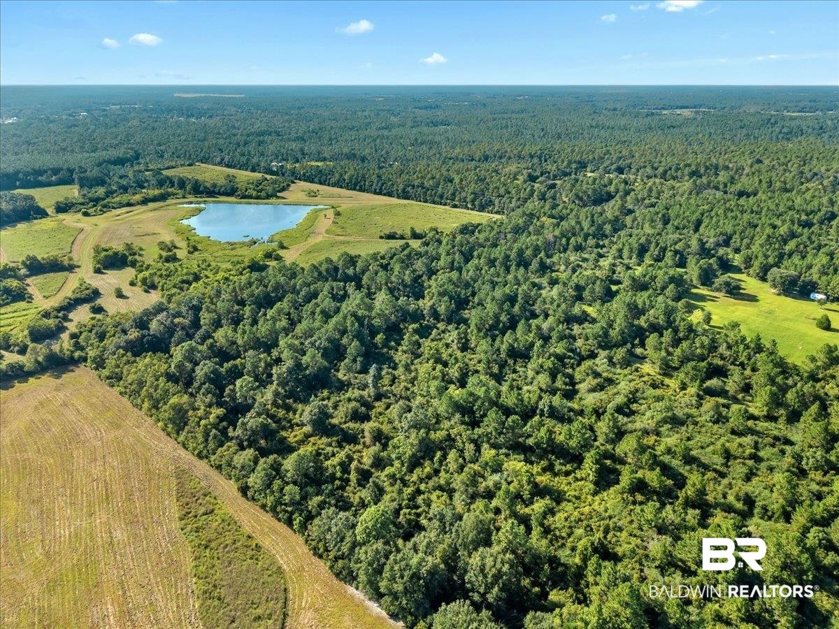0 Stucki Road Elberta, AL 36530 - Photo 15 of 15 Aerial view of a nearby body of water and a heavily wooded area