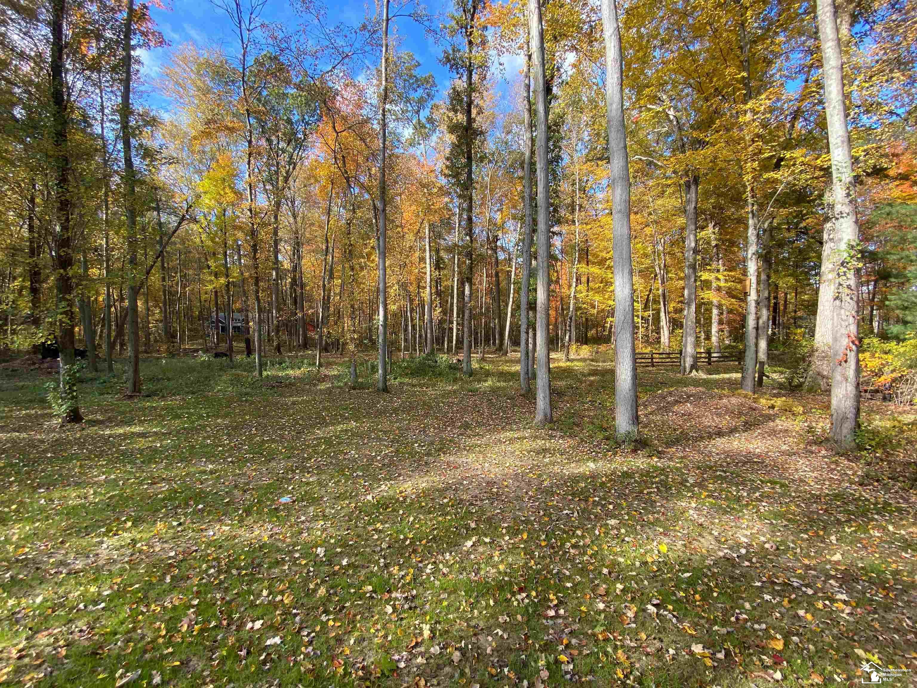 12003 Secor Road Petersburg, MI 49270 - Photo 51 of 58