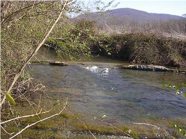 2 Terry Road Pikeville, TN 37367 - Photo 7 of 9 Additional Photo