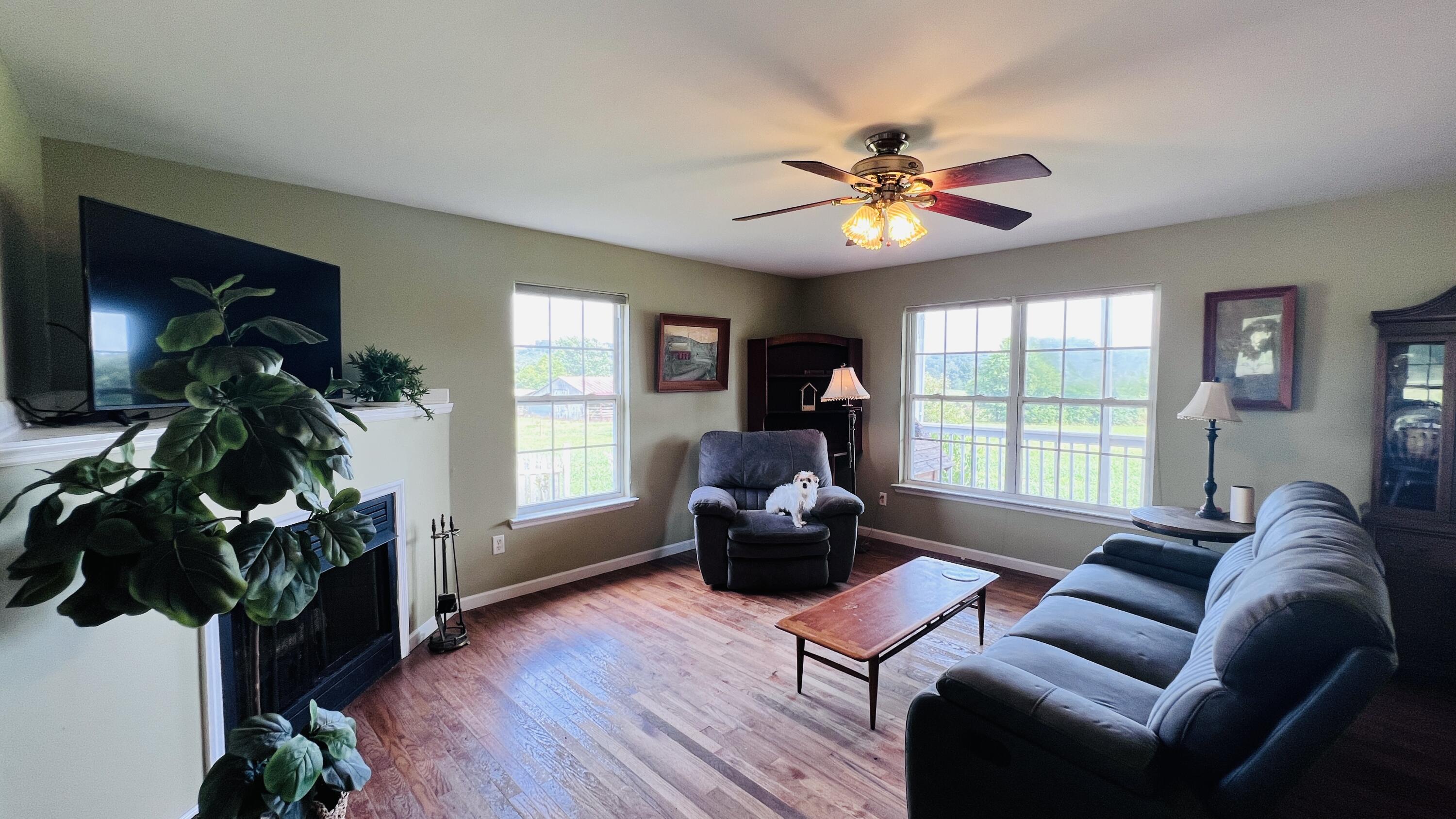 801 Twin Cedars Road Rock Spring, GA 30739 - Photo 4 of 40 3