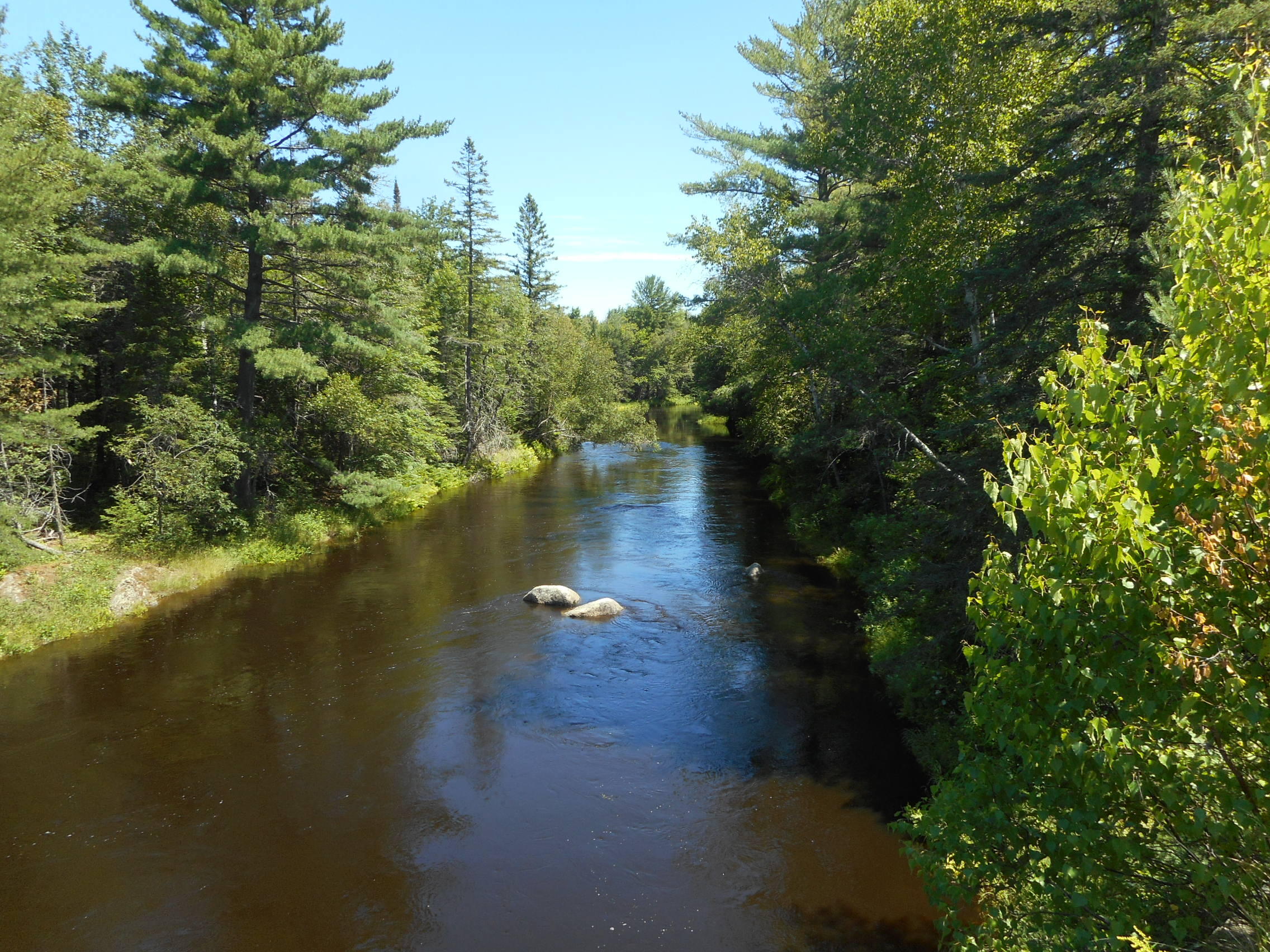 61 Pea Ridge Road Chester, ME 04457 - Photo 2 of 14 DSCN3130