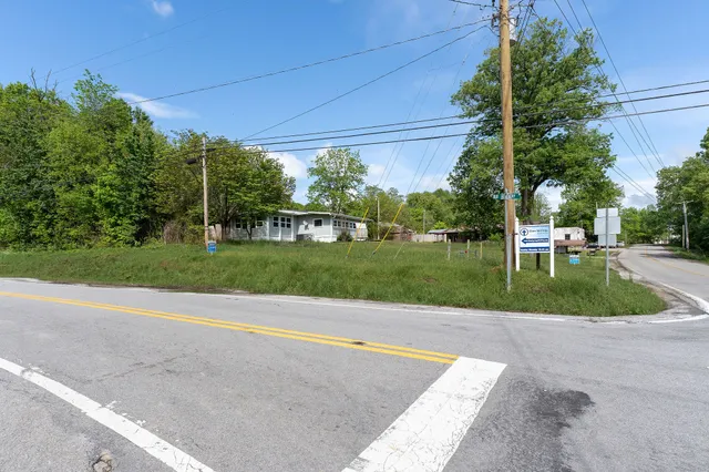 a view of a backyard with a garden and plants