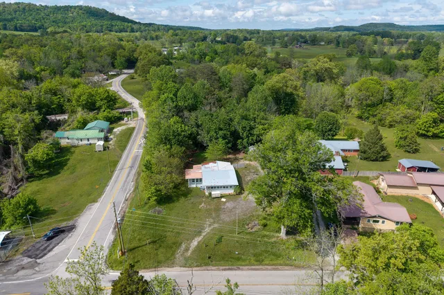 an aerial view of residential houses with outdoor space and trees