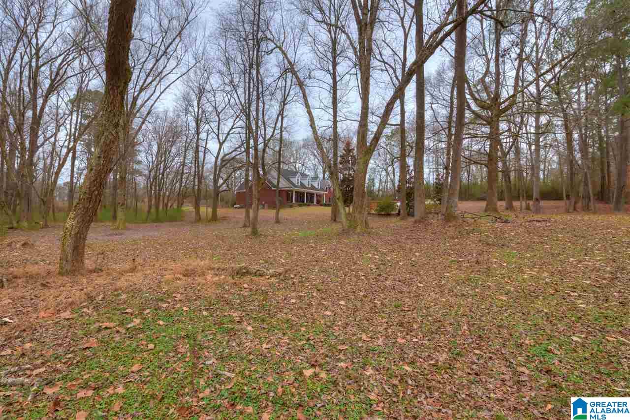 762 Summerville Road Jasper, AL 35504 - Photo 7 of 28