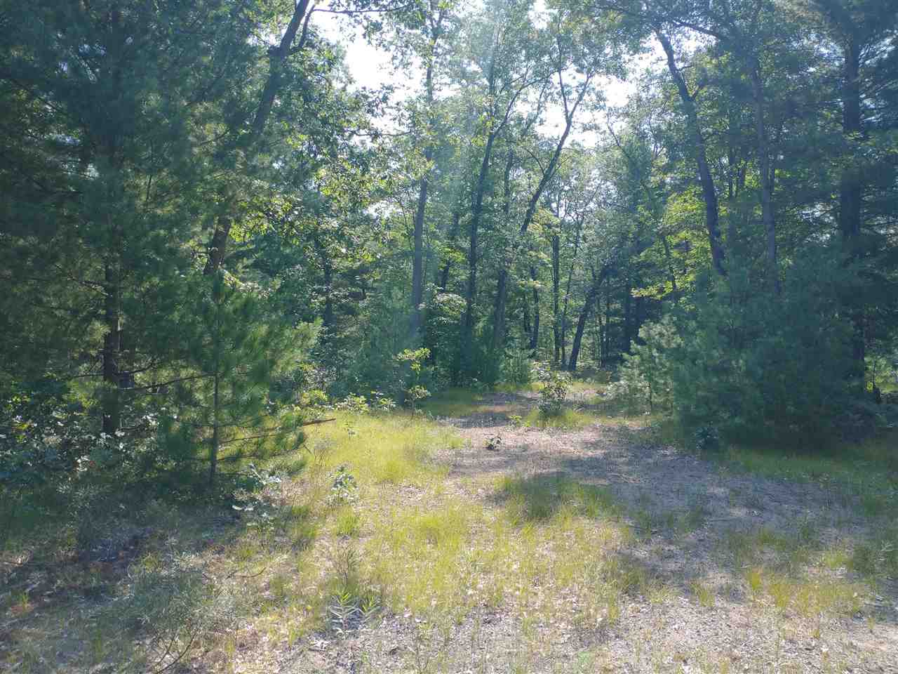 V/l Skocelas Road North Manistee, MI 49660 - Photo 5 of 12