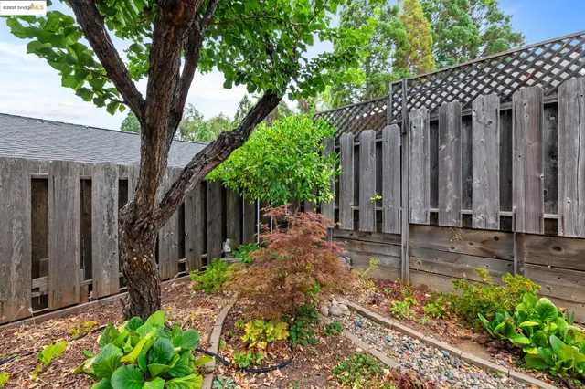 a house with a tree in front of it