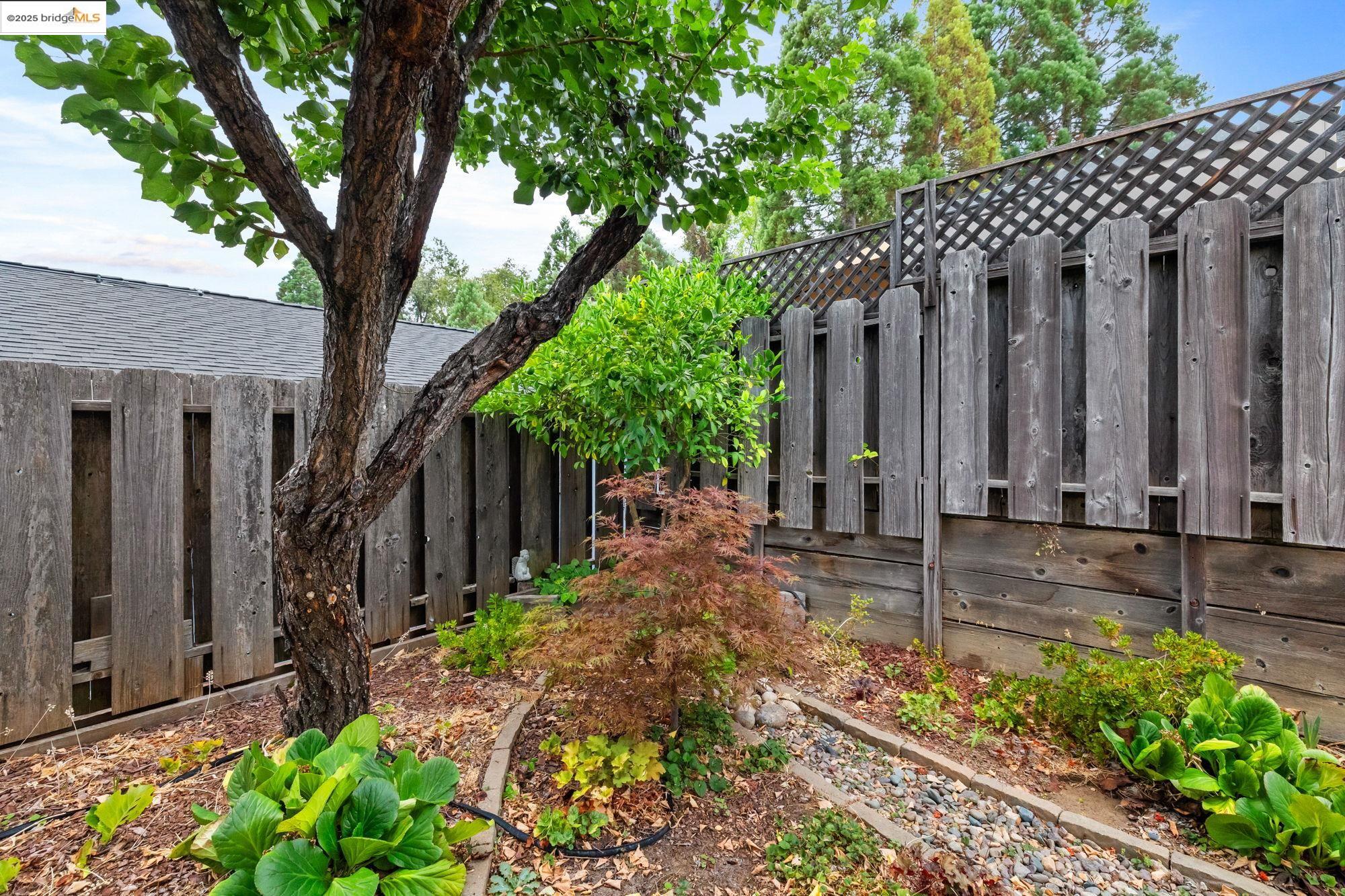 19560 River Birch Court, Unit 1 Sonora, CA 95370 - Photo 34 of 38 a house with a tree in front of it