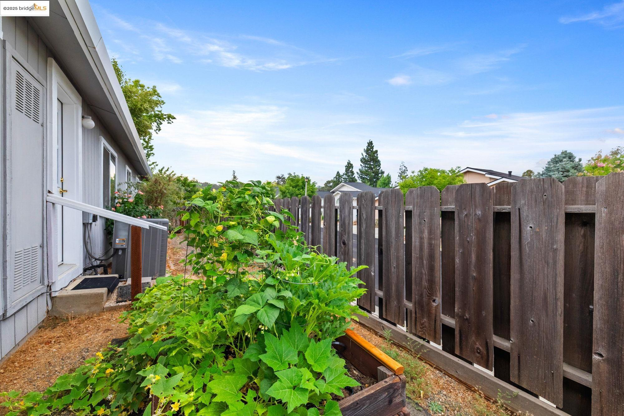 19560 River Birch Court, Unit 1 Sonora, CA 95370 - Photo 36 of 38 a backyard of a house with lots of green space