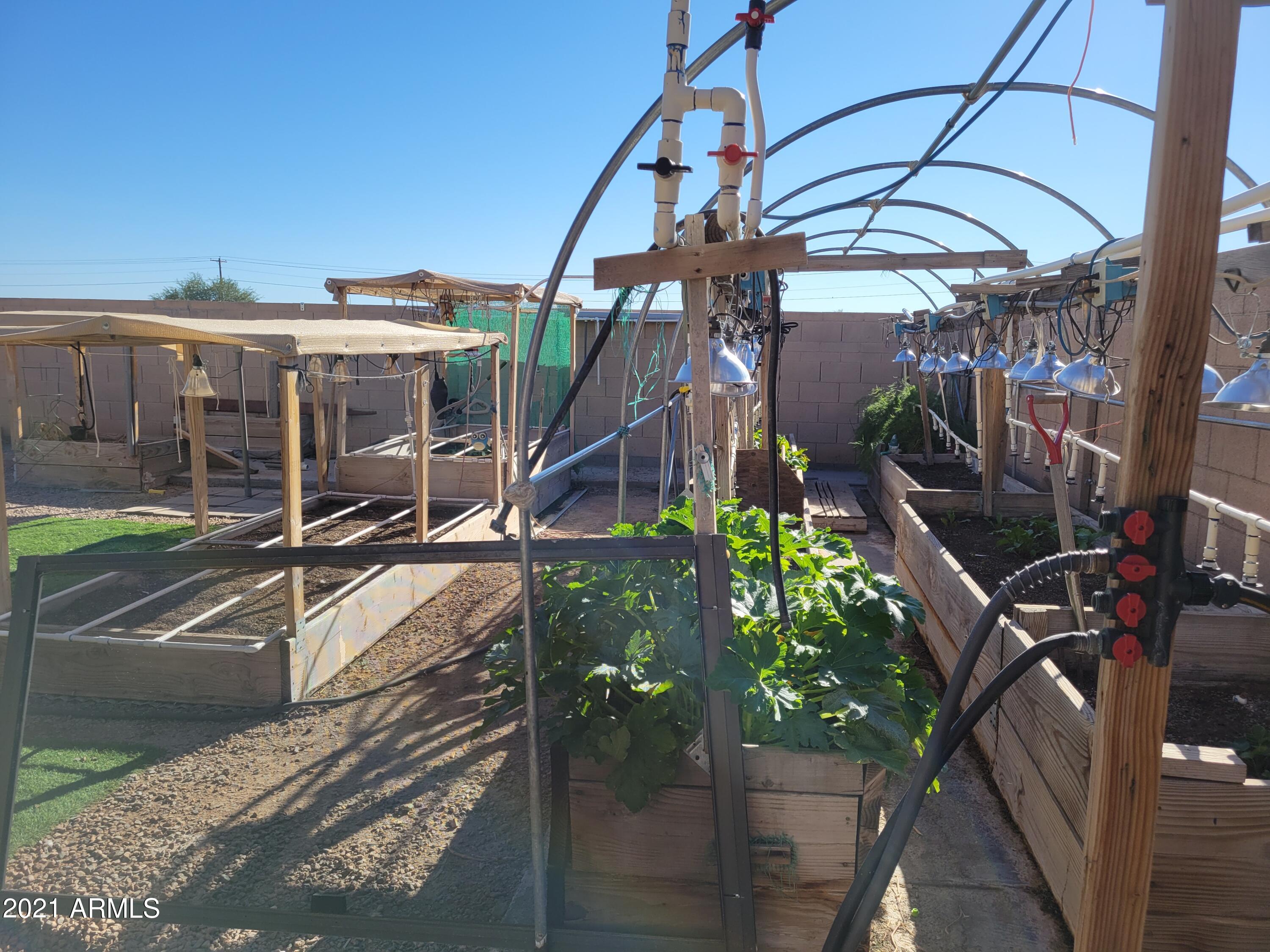 43945 West Cowpath Road Maricopa, AZ 85138 - Photo 9 of 24 Raised Garden Beds