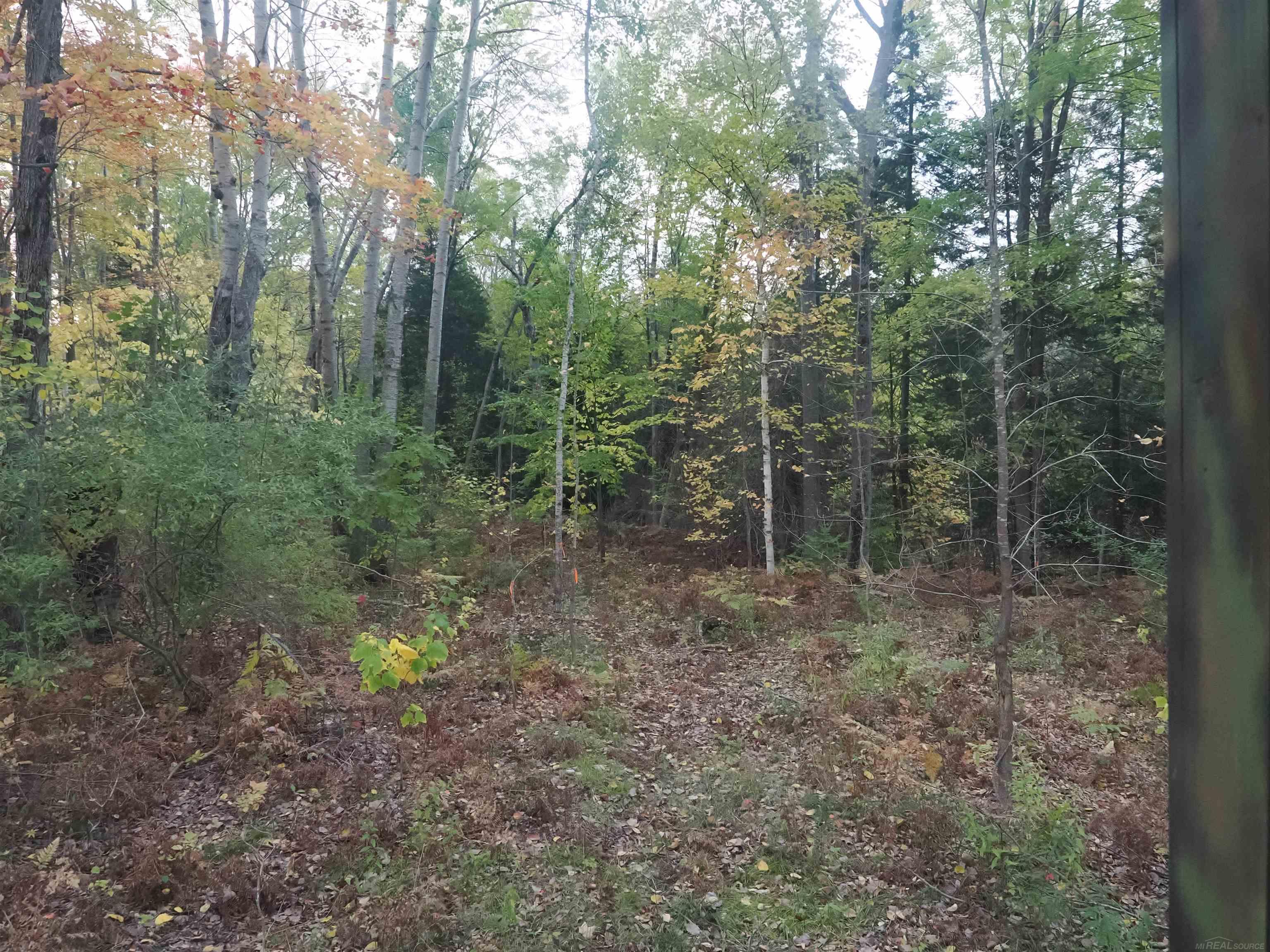 Xxx Tolan Road Spruce, MI 48762 - Photo 72 of 79