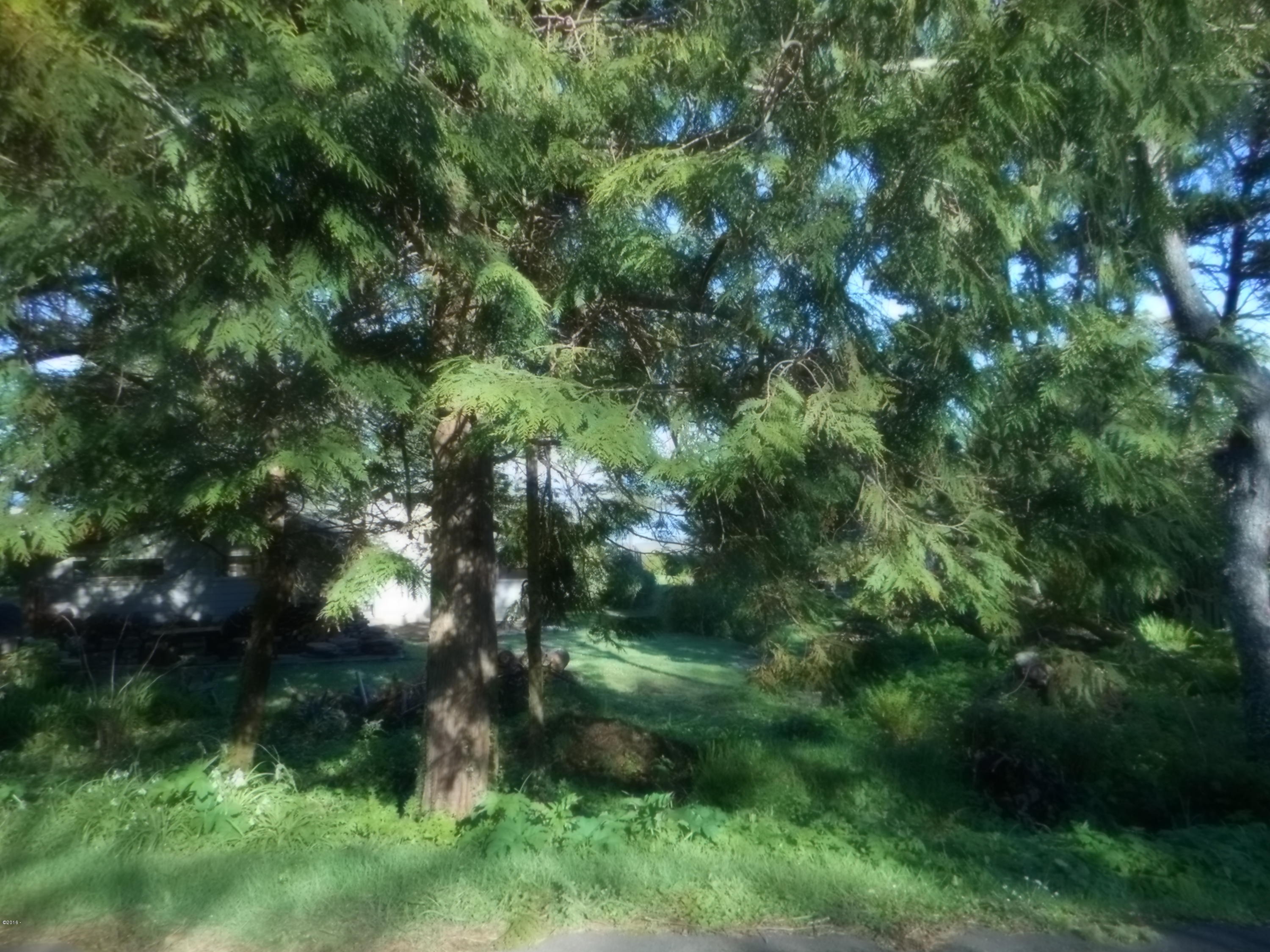 3600 Shell Street Yachats, OR 97498 - Photo 5 of 9 Looking West