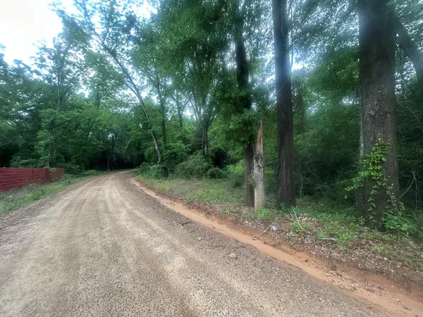$15,000 | 0 Railroad Road, Cowarts, AL 36321
