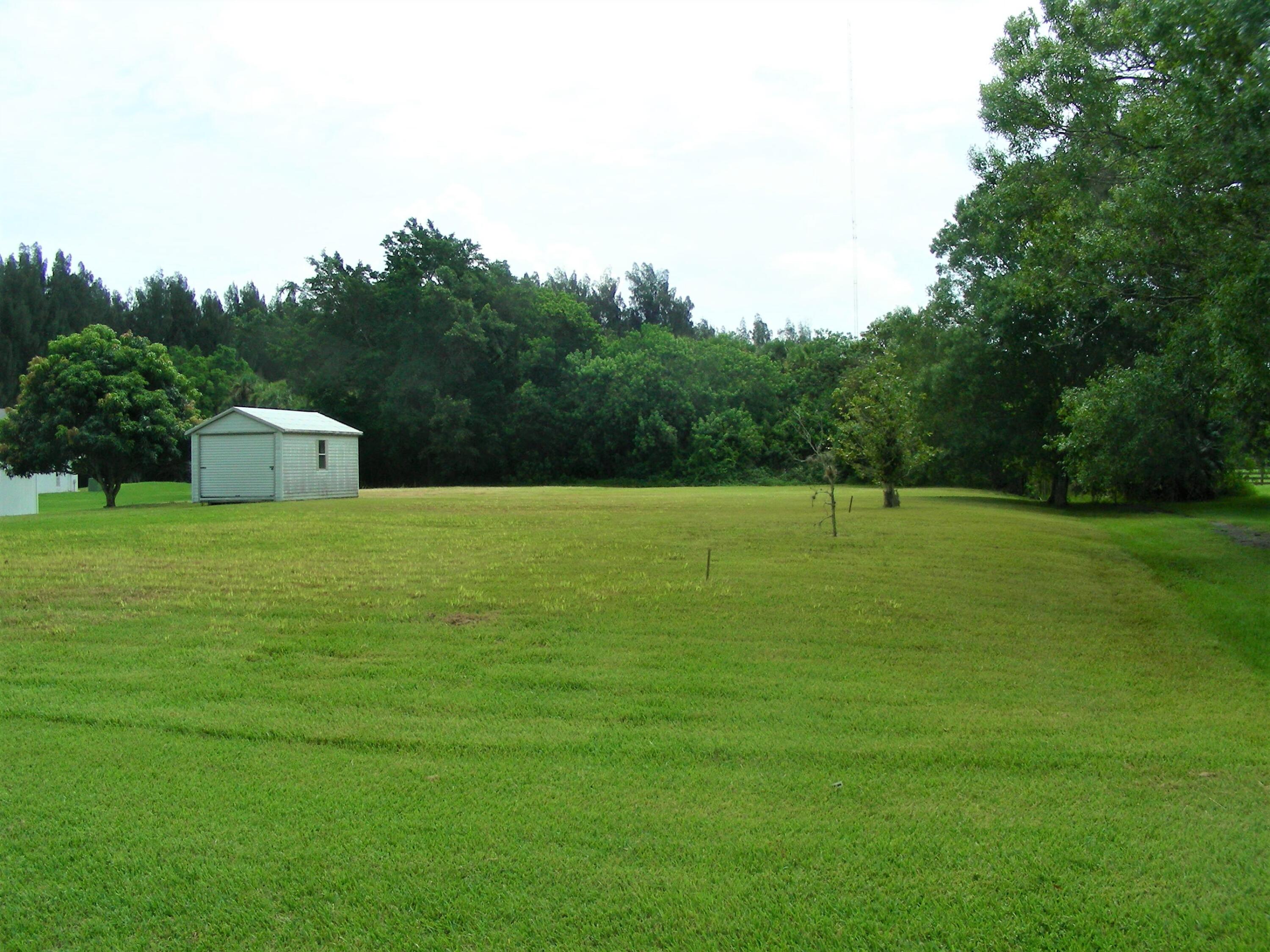 a view of a field with grass and trees