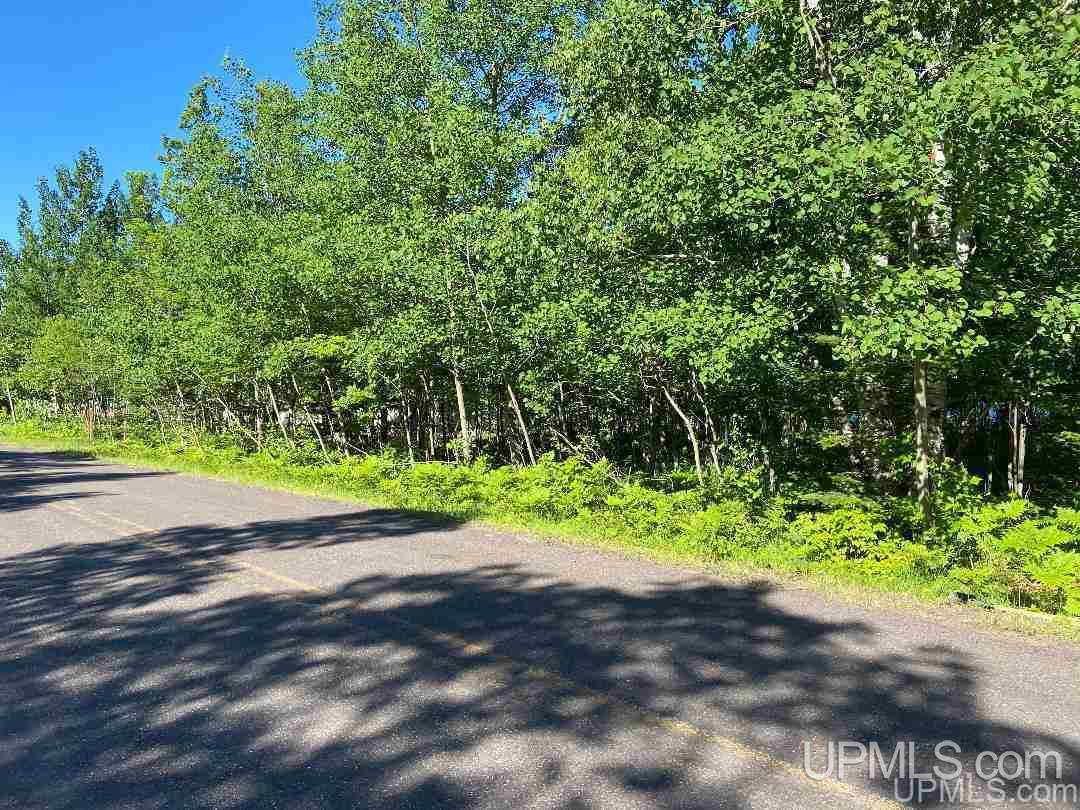 Tbd Sedar Bay Road Calumet, MI 49913 - Photo 12 of 16
