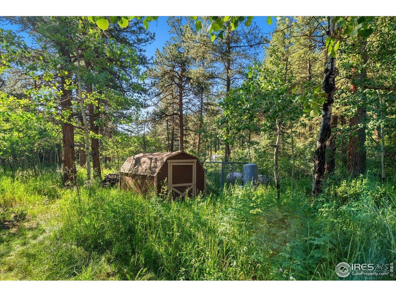49 Riverside Drive Lyons, CO 80540 - Photo 29 of 32 a backyard of a house with lots of green space