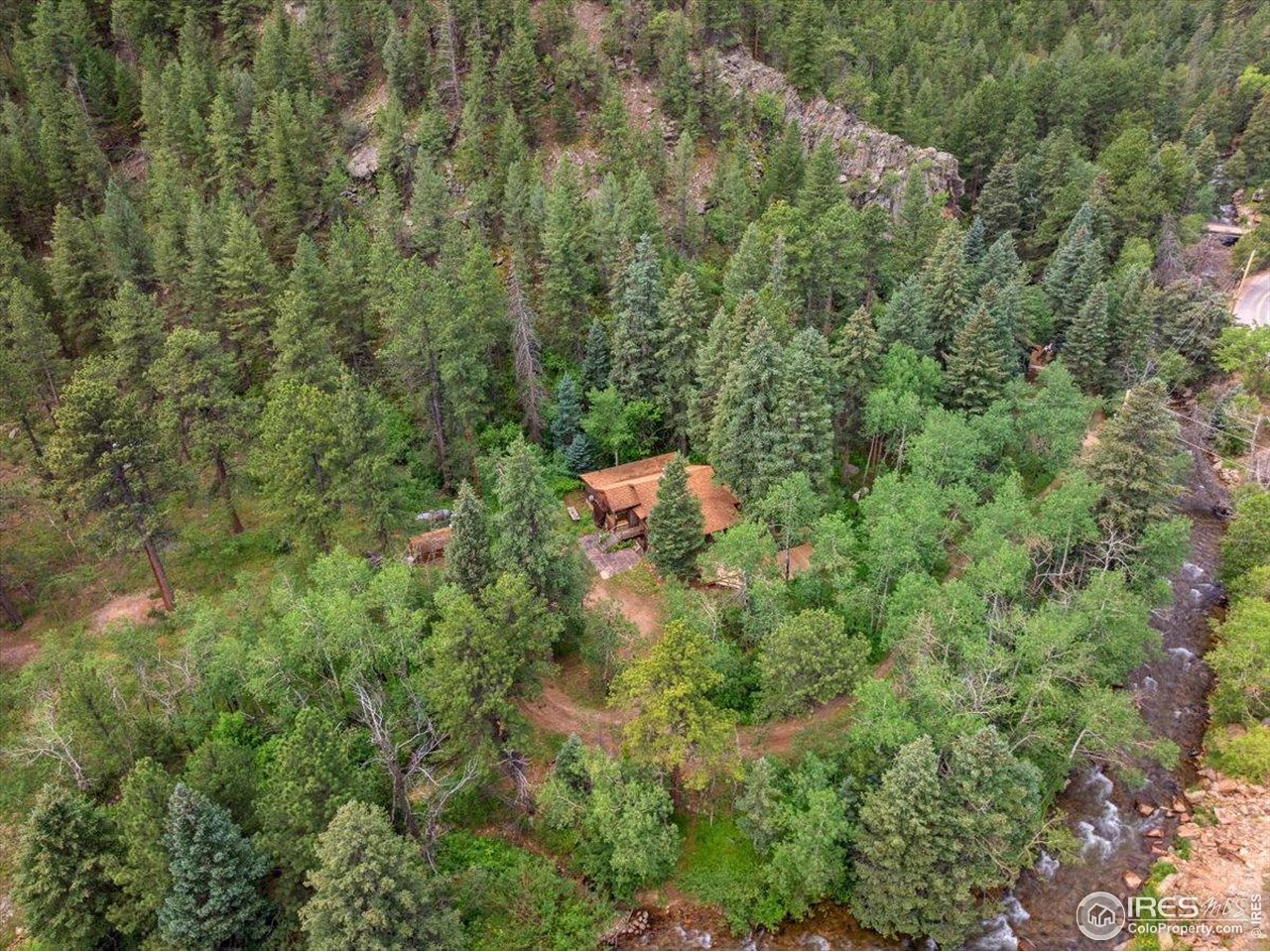 49 Riverside Drive Lyons, CO 80540 - Photo 31 of 32 a view of a forest with a tree