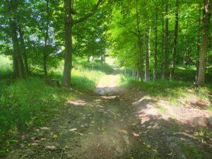 6611 West 1 Mile Road Hesperia, MI 49421 - Photo 52 of 56 20230620_124748-300x225