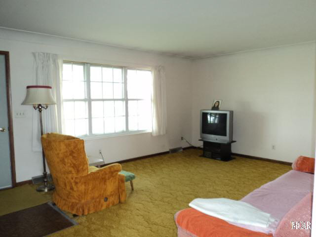 7262 Blue Bush Road Monroe, MI 48162 - Photo 10 of 20 Livingroom