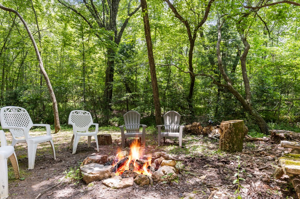 135 The Builder's Hill Morganton, GA 30560 - Photo 28 of 31