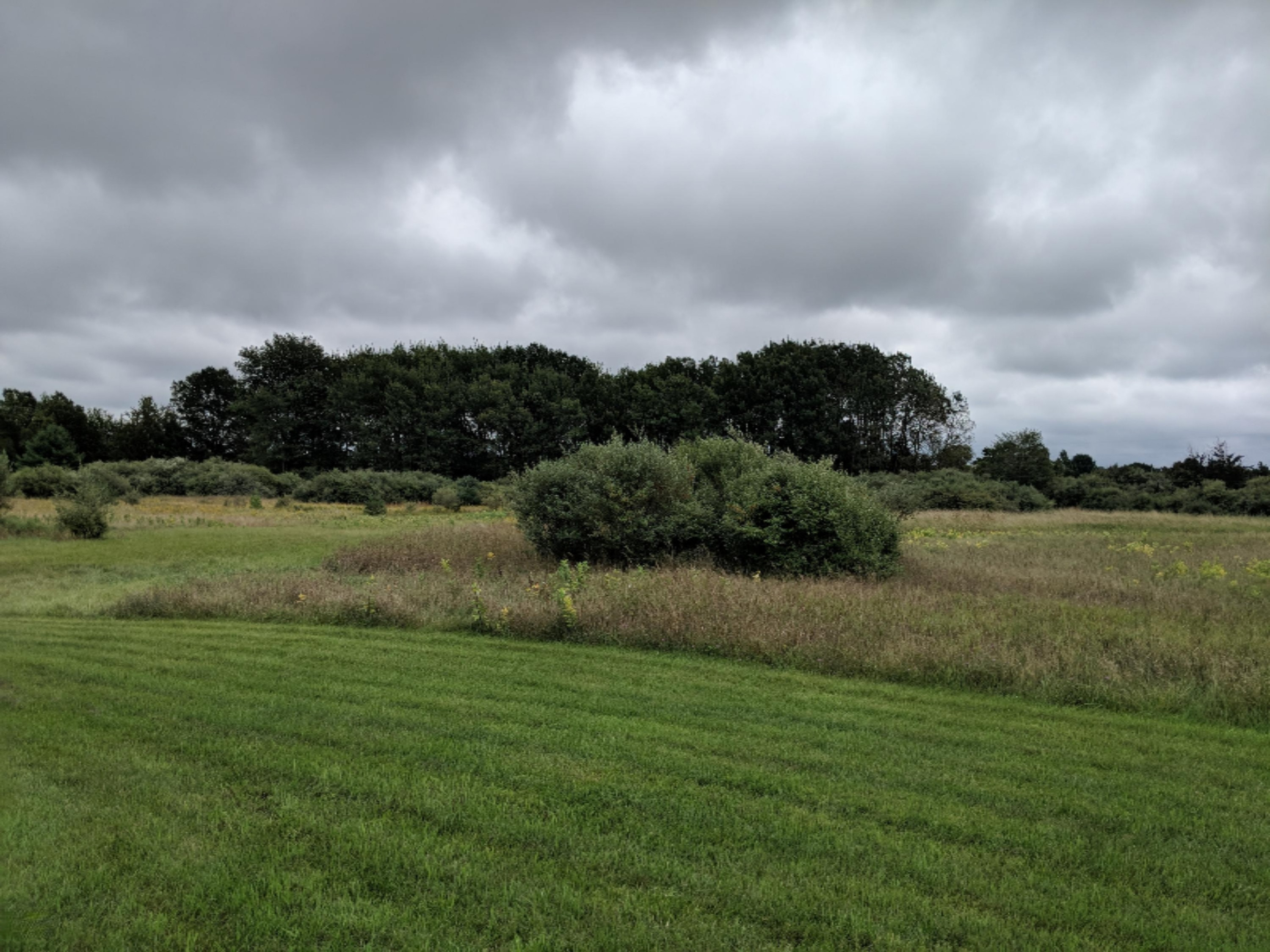 2854 South County Line Road Manistee, MI 49660 - Photo 39 of 43 IMG_20190915_132300