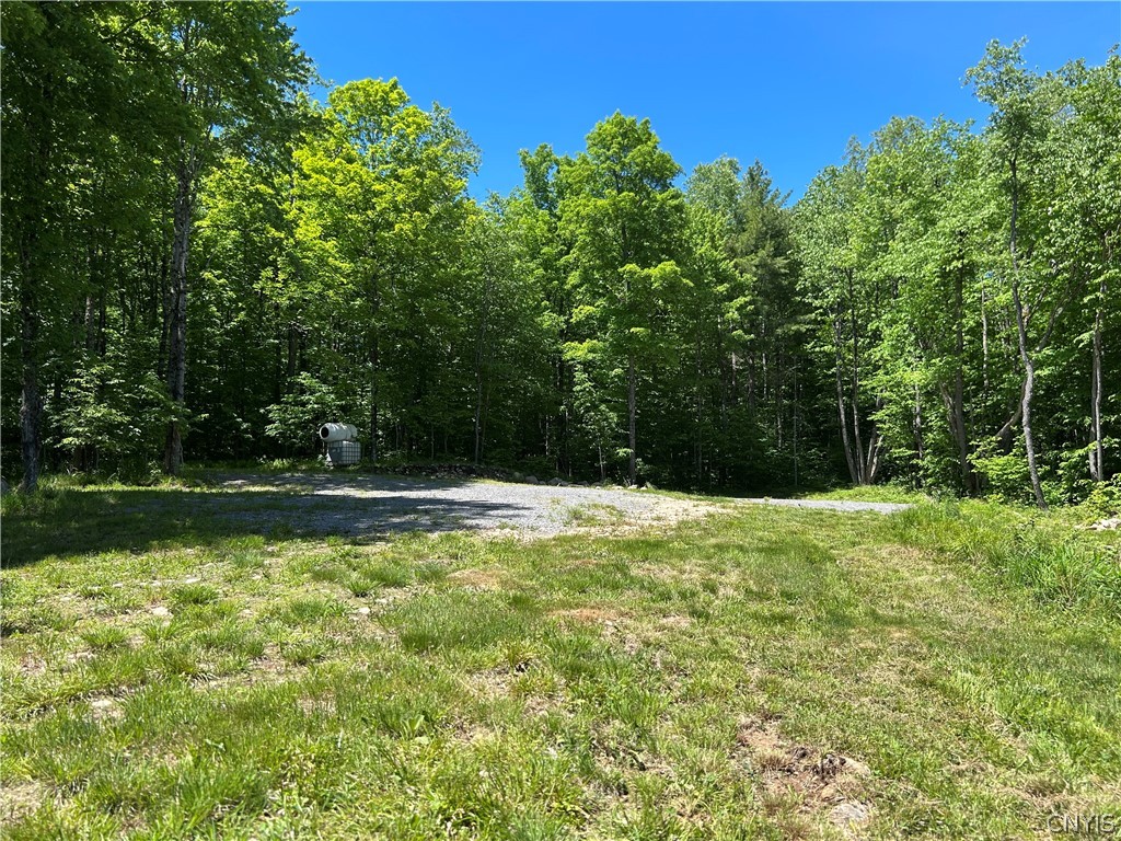 7702 Hiawatha Lake Road Greig, NY 13343 - Photo 3 of 14