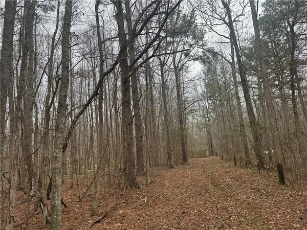 $300,400 | 0 Indian Crk Trail, Madison, GA 30650