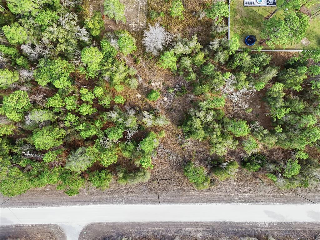 Chimney Swift Road Weeki Wachee, FL 34614 - Photo 11 of 13