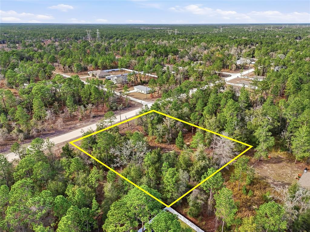 Chimney Swift Road Weeki Wachee, FL 34614 - Photo 13 of 13