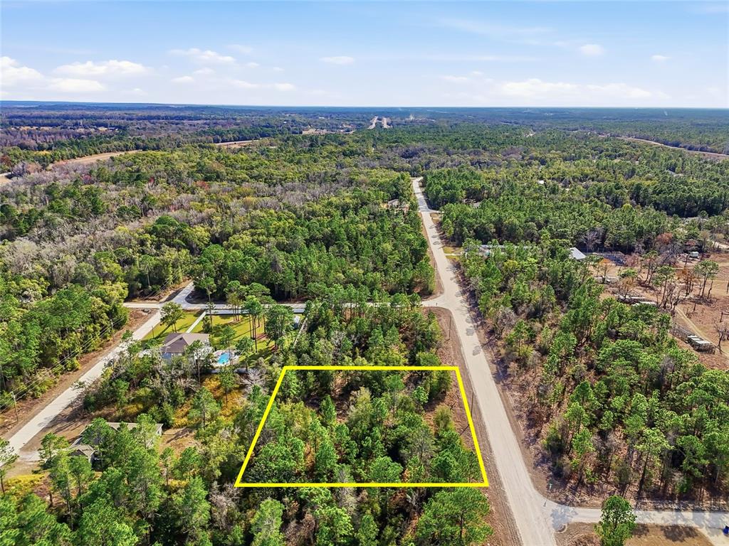 Chimney Swift Road Weeki Wachee, FL 34614 - Photo 6 of 13