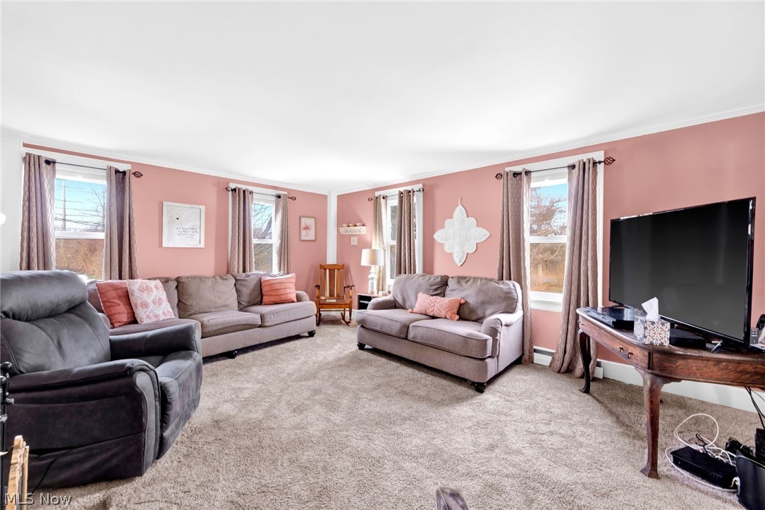 11146 Girdled Road Painesville, OH 44077 - Photo 7 of 31 Gallery Image 7