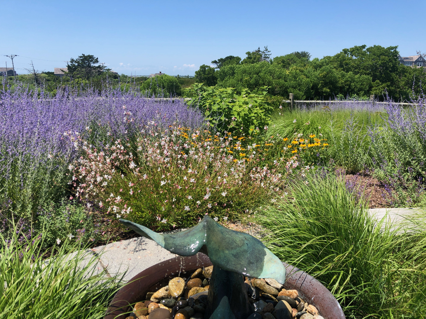179 Eel Point Road Nantucket, MA 02554 - Photo 9 of 53 Gallery Image 9