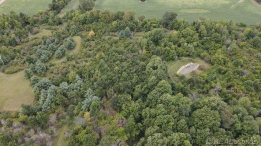 6653 Sheridan Line Road Lexington, MI 48450 - Photo 22 of 22 50088091-23.JPG